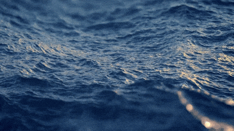 Inicio ocean (1)